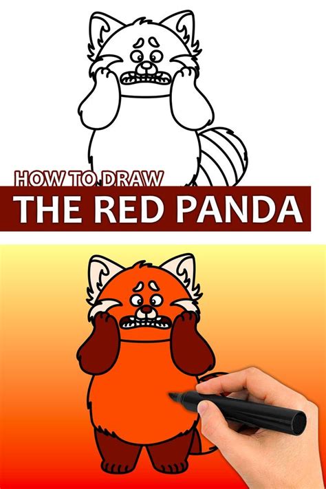 How to Draw a Red Panda - Step by Step Tutorial