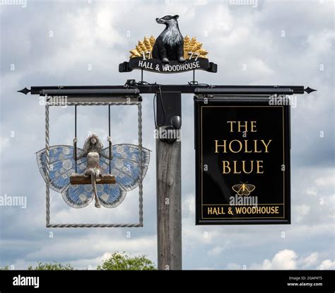 Traditional Hanging Pub Sign At The Holly Blue Public House Beggarwood