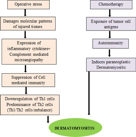 Potential pathogenesis of malignancy associated DM | Download Scientific Diagram