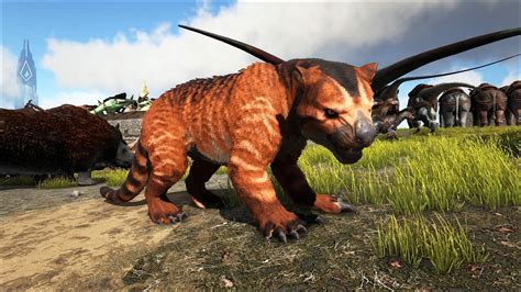 Ark Survival Ascended Thylacoleo Taming Guide