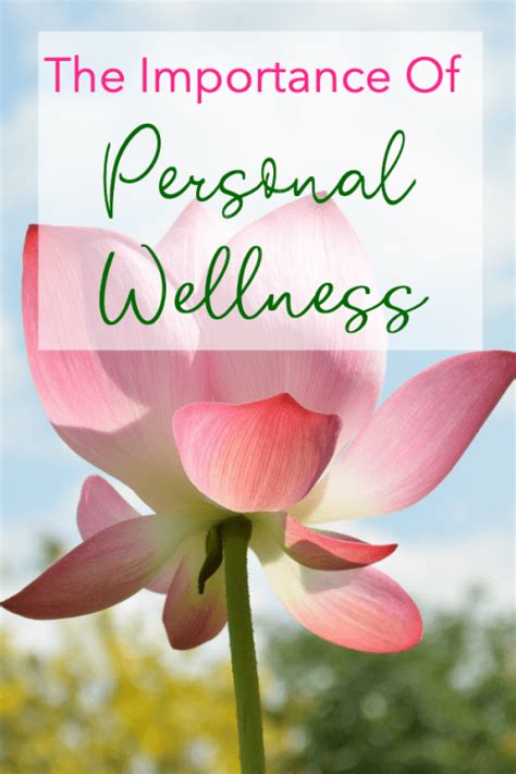 Personal Wellness Plan Health Planning 