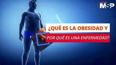 Qu Es La Grasa Visceral Y Por Qu La Obesidad Es Una Enfermedad