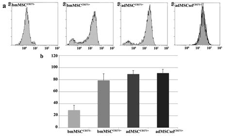 Ijms Free Full Text Potential Effect Of Cd271 On Human Mesenchymal