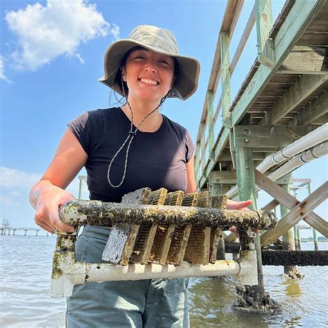 Exploring Florida’s Coastal Gems: Baby Oysters and Living Shorelines ...