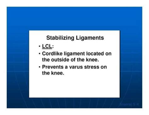knee-biomechanics-26945834589422257.pptx