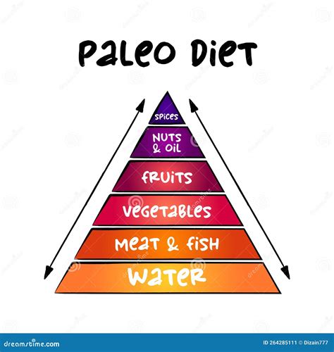 Paleo Diet Food Pyramid