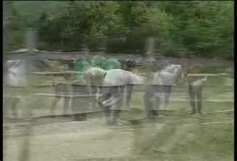 Temptation Of The Gypsies I Gay Twink Twink Porn XHamster