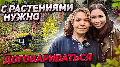 ПОД ПИТЕРОМ вызревает ЧЕРЕШНЯ и цветут МАГНОЛИИ (секреты самого ...