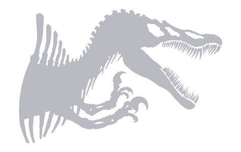 Jurassic Park Spinosaurus Skeleton Gray Png By Jakeysamra On Deviantart