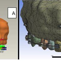 a & b finite element model | Download Scientific Diagram