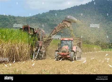 Sugar Cane Harvester High Resolution Stock Photography And Images Alamy