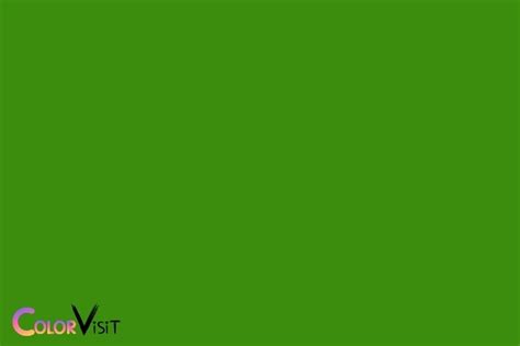 What Color Is Christmas Green? Vibrant Shade Of Green