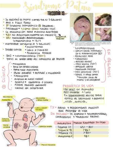 Síndrome Patau | StudyLand | uDocz