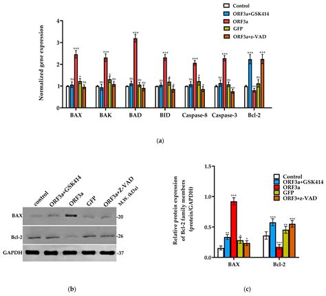 Biomedicines Free Full Text Inhibition Of Perk Kinase An