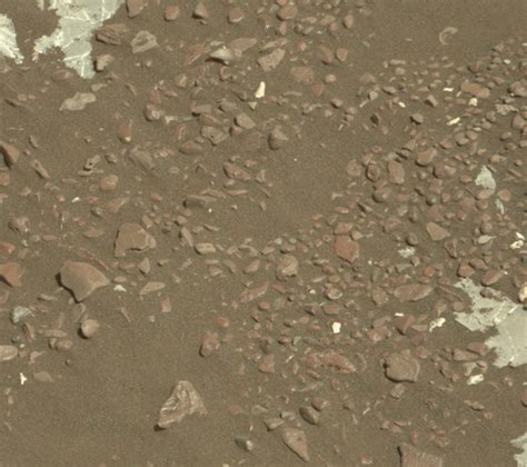 Dumping the rest of the Highfield sample,… | The Planetary Society