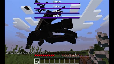 Ender Dragon Vs Wither Youtube