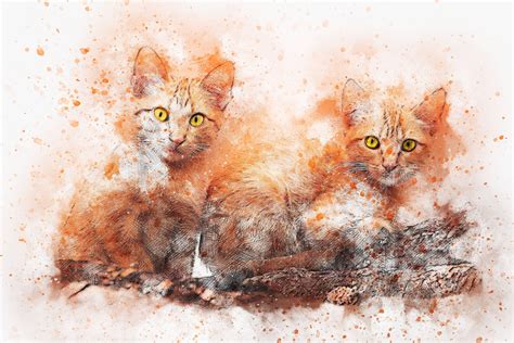 Cat Art Wallpaper