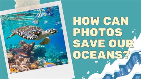 Saving The Environment With Conservation Photography Mission