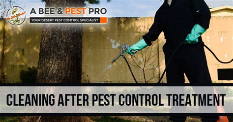 Cleaning After Pest Control Treatment What To Know