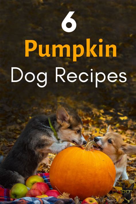 6 Pawesome Pumpkin Dog Recipes to Fall for this Season | YoCanine