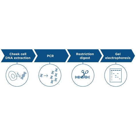 Introducing The Updated Ptc Taster Lab All New Curriculum For Our Most Popular Lab Minipcr Bio