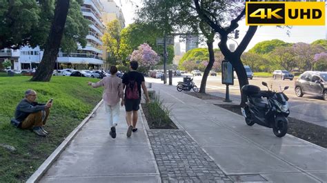 Avenida Del Libertador Buenos Aires Argentina Walking Tour K