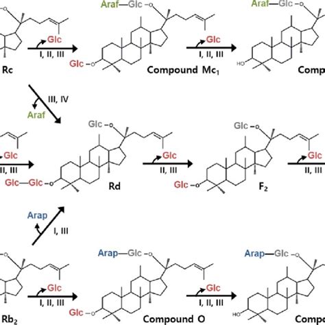 Bioconversion pathways of ginsenosides Rb 1 , Rb 2 , and Rc to compound ... 