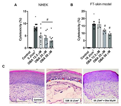 Obacunone Attenuates Uvr Induced Cytotoxicity In Nhek Cells And A Ft