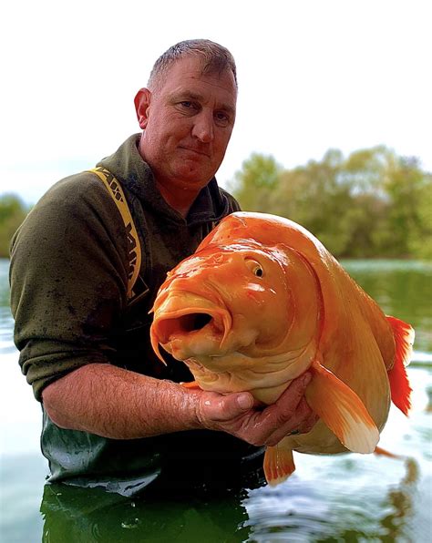 Is This the Biggest "Goldfish" Ever Caught? | Outdoor Life