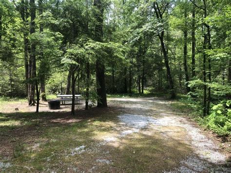 Site 66 Lake Rabun Beach Recreation Area