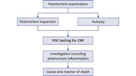 Evaluation Of Point Of Care Testing For C Reactive Protein In Forensic