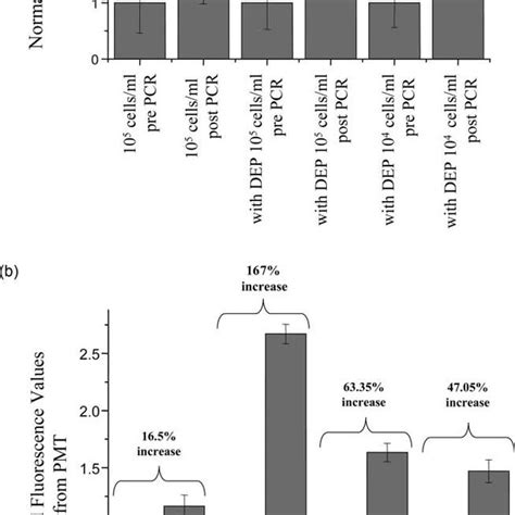 One Dimensional Gel Electrophoresis For Post PCR Samples With Varying