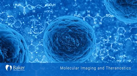 Molecular Imaging And Theranostics Baker Heart And Diabetes Institute