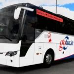 Temsa Safir Plus Go Bus Skin Allmods Net