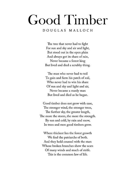 Good Timber Douglas Malloch Poem Literature Typography 1 Digital