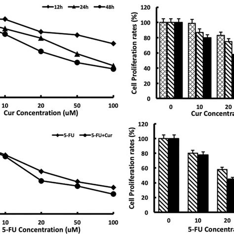 Cytotoxicity Of 5 Fu In Sw480 Cells Is Enhanced By Curcumin A