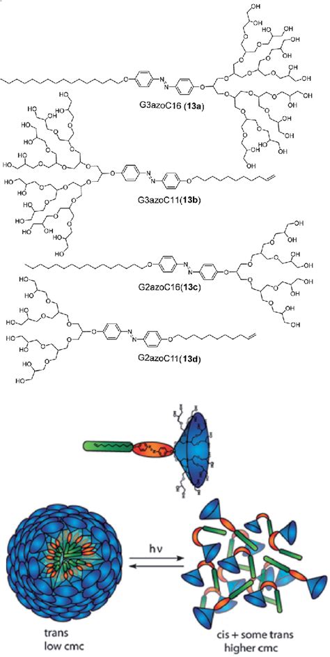 Molecular Structures Of Dendron Amphiphiles 13a 13d Containing Download Scientific Diagram