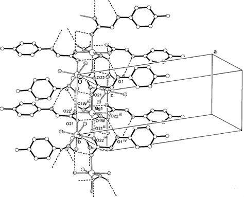 The Hydrogen Bonding Interactions Shown As Dashed Lines In The Title Download Scientific