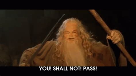 You Shall Not Pass GIF - LordOfTheRings Gandalf YouShallNotPass ...