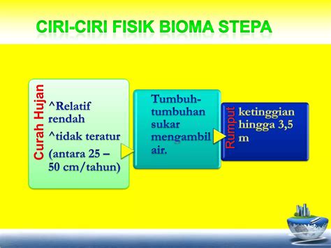 Bioma Padang Rumput 3
