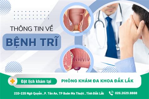 Tổng Quan Về Bệnh Trĩ Nguyên Nhân Biểu Hiện Tác Hại Phương Pháp Và