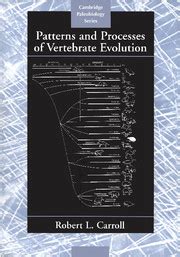 Patterns And Processes Vertebrate Evolution Palaeontology And Life