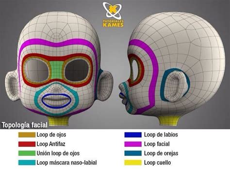 Resultado De Imagen Para Proceso De Topologia 3d Topologia Modelado