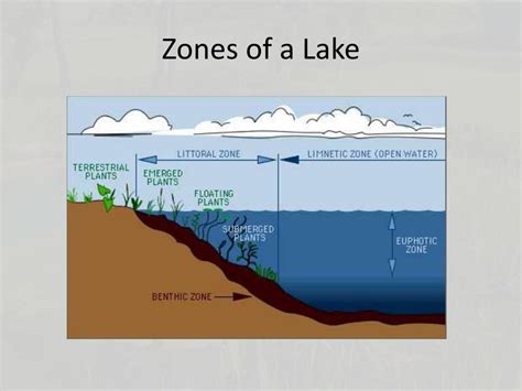 Lake Zones Diagram