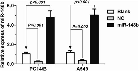 The Expression Of Mir 148b Analyzed Using Real Time Quantitative Pcr