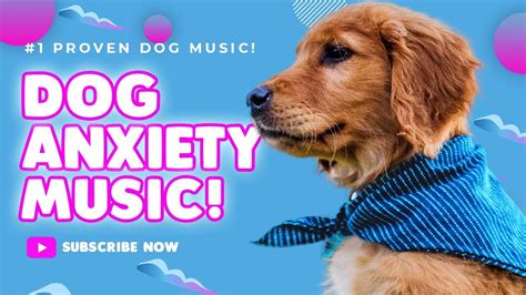 Dog Anxiety Music Relaxing Dog Sounds 444hz New 2022 Youtube