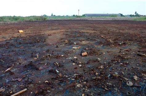 Contaminación Del Suelo Causas Consecuencias Y Soluciones Resumen