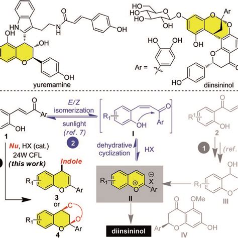 Previous Protocols For The Synthesis Of Hybrid Flavonoids And A