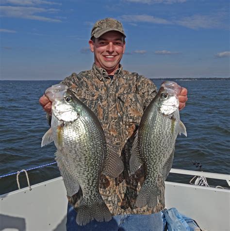 Catching Crappie On South Carolinas Santee Cooper Lakes