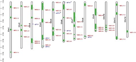 The Positions Of Our Qtls And Meta Qtls Red And Blue Qtl Represents